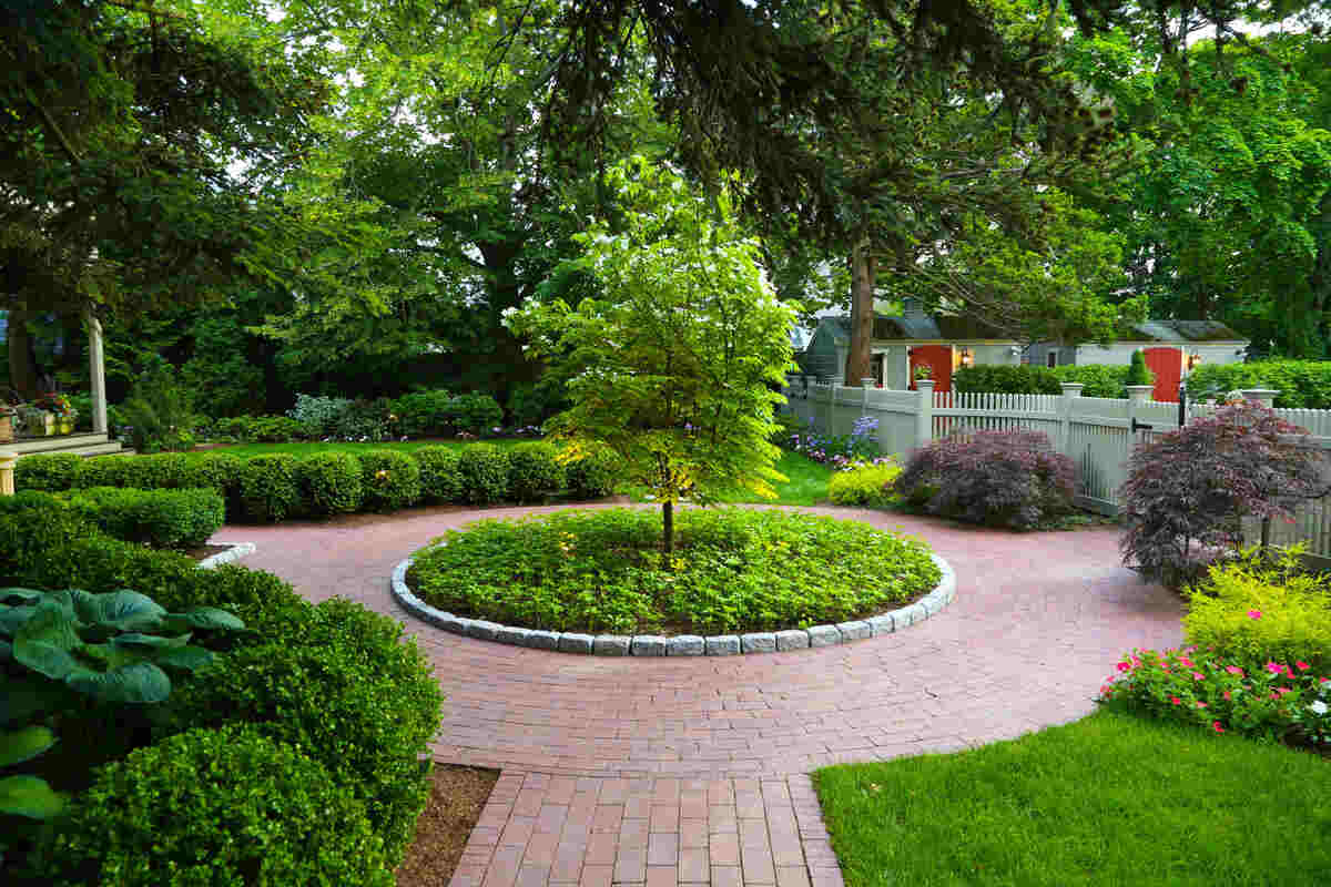 Plant a Tree or Garden