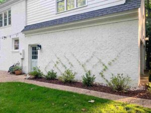 DIY Trellis