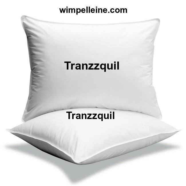 Tranzzquil